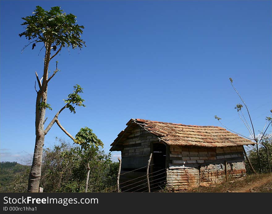 Hut and tree in Topices de Colliantes, Cuba