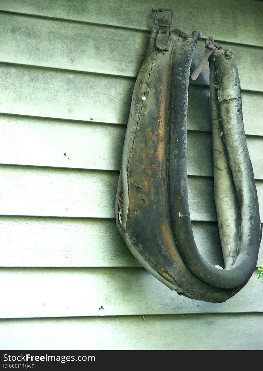 Retired harness hanging on the side of a barn. Retired harness hanging on the side of a barn.