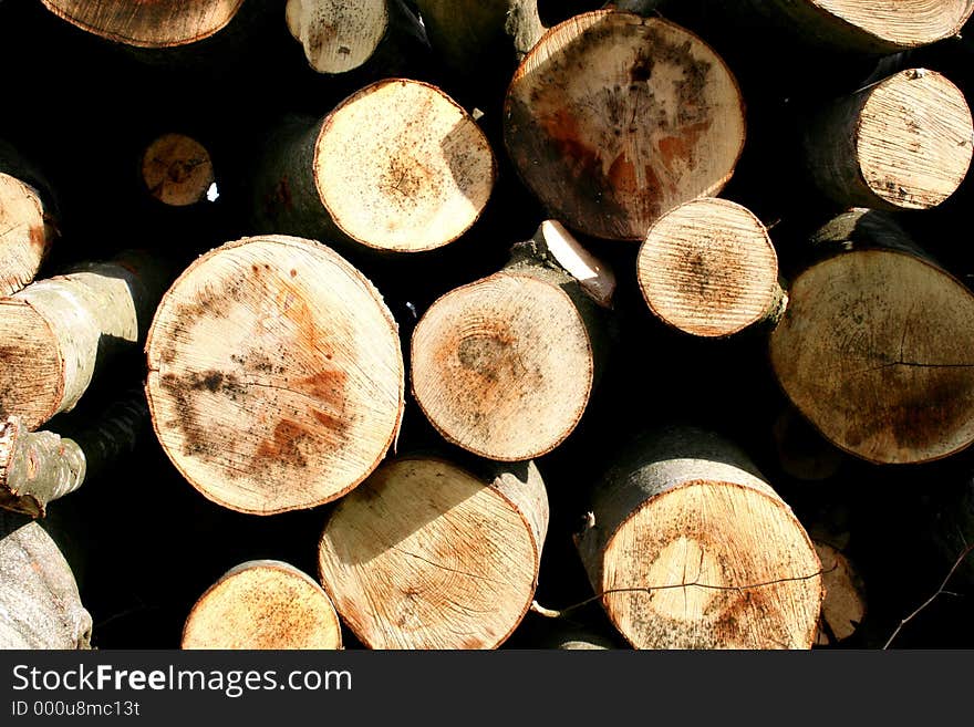 Digital macroshot of a pile wood. Digital macroshot of a pile wood