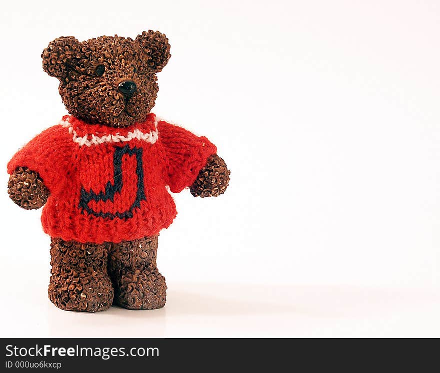 Bear in sweater