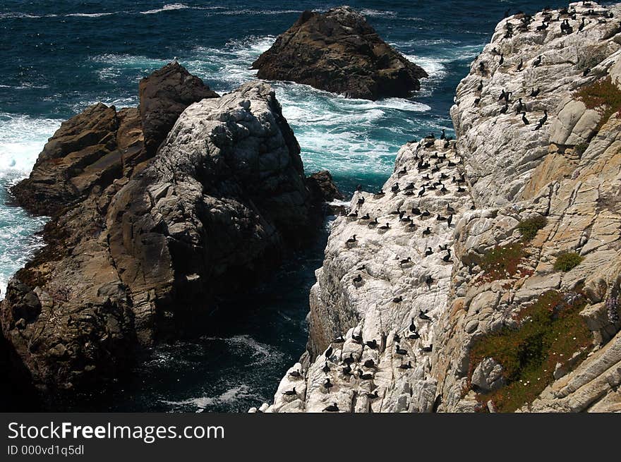 Pt Lobos, Calif. Pt Lobos, Calif