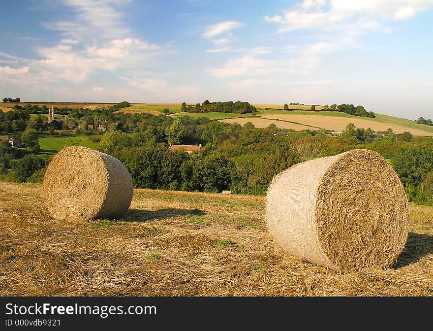 Hay Bails At Wellow