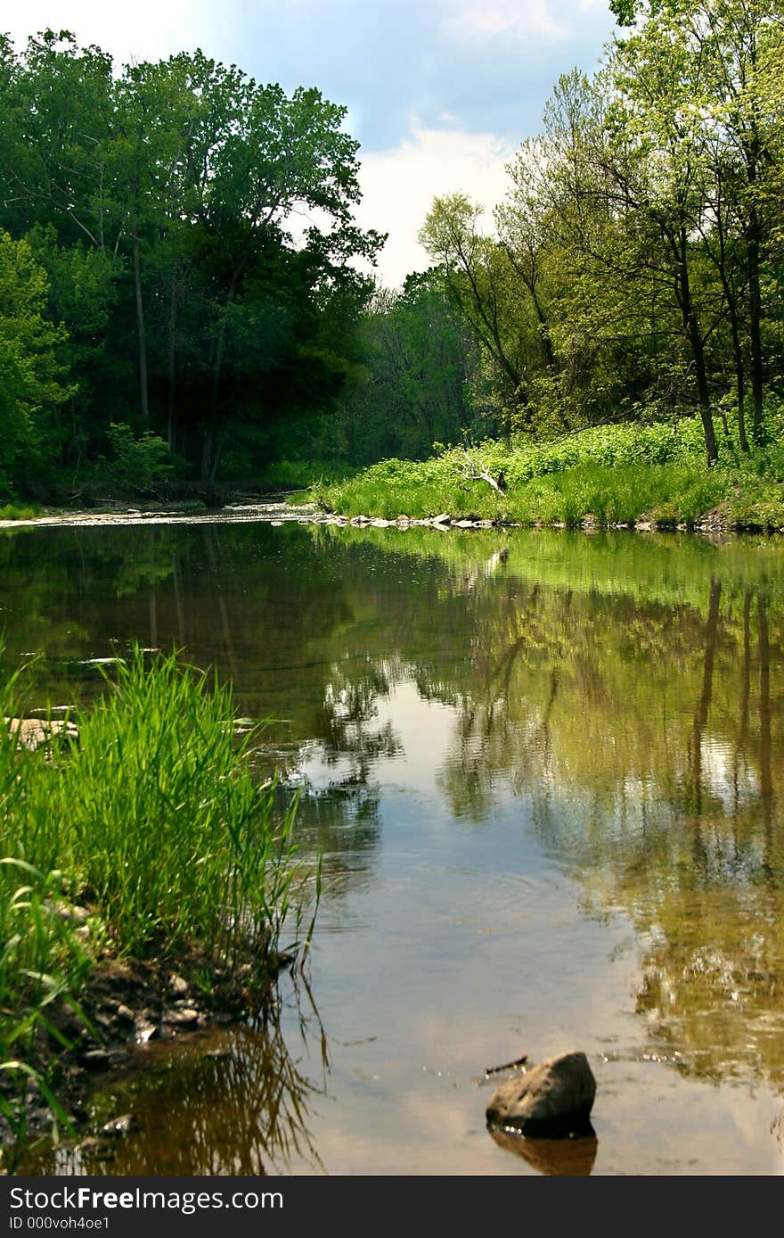 A beautiful spring day along the creek. A beautiful spring day along the creek