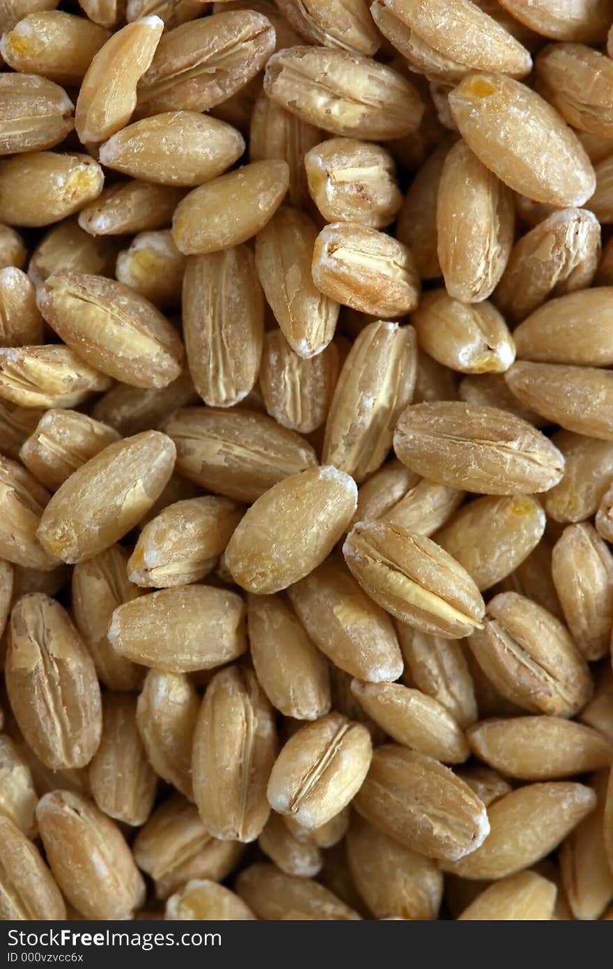 Pine Nuts.