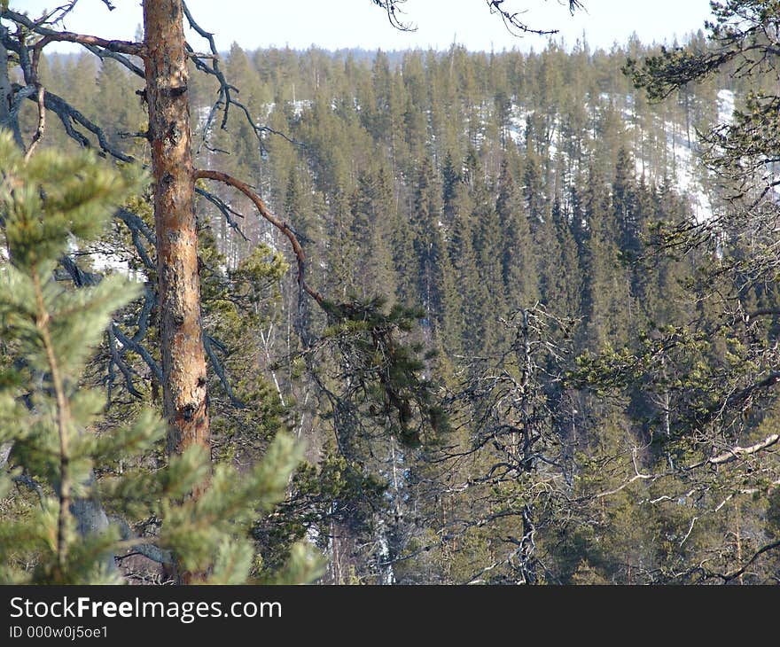 Karelian spring