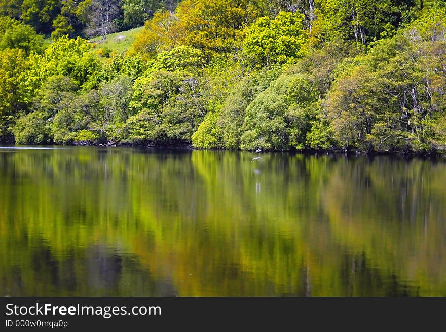 Summer reflections on a still water. Summer reflections on a still water