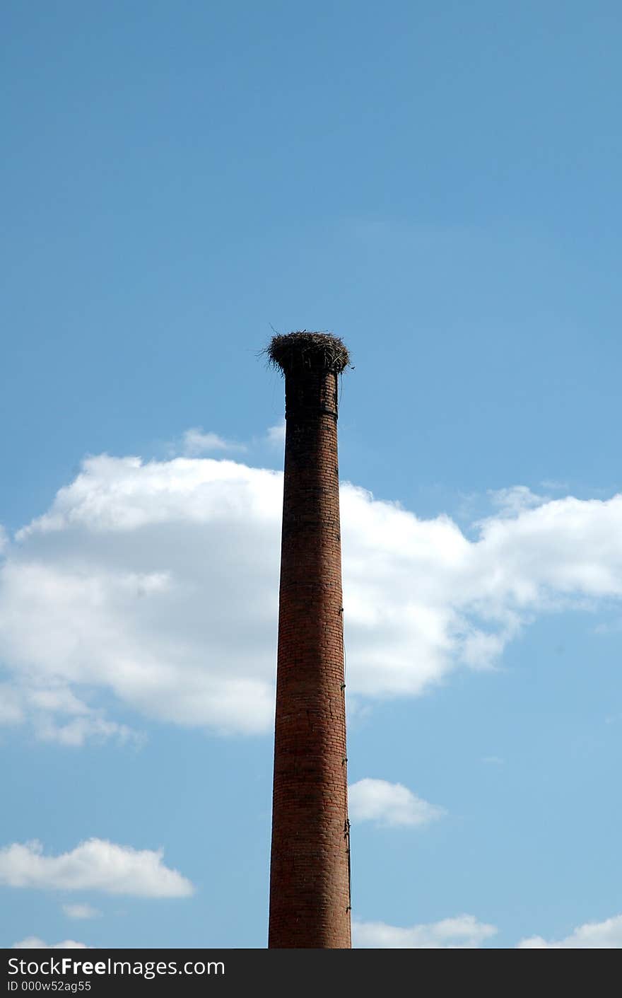 Stork nest in a old factory chimney