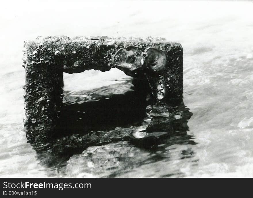 Original black and white photo of a found item, a brick in the sea covered with barnacles. Original black and white photo of a found item, a brick in the sea covered with barnacles.