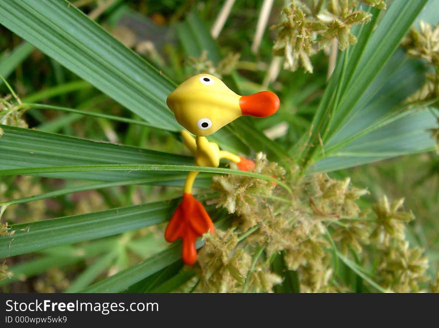 Quizzical wire duck on a plant. Quizzical wire duck on a plant.