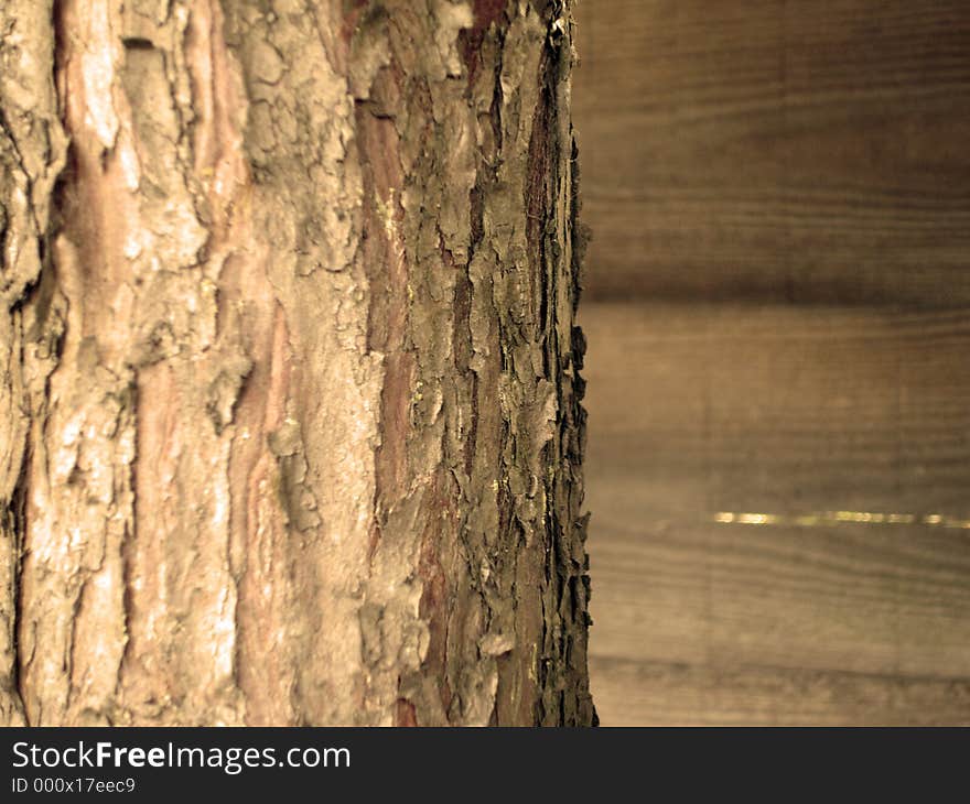 Bark on a tree. Wood tiles in the background. Bark on a tree. Wood tiles in the background.