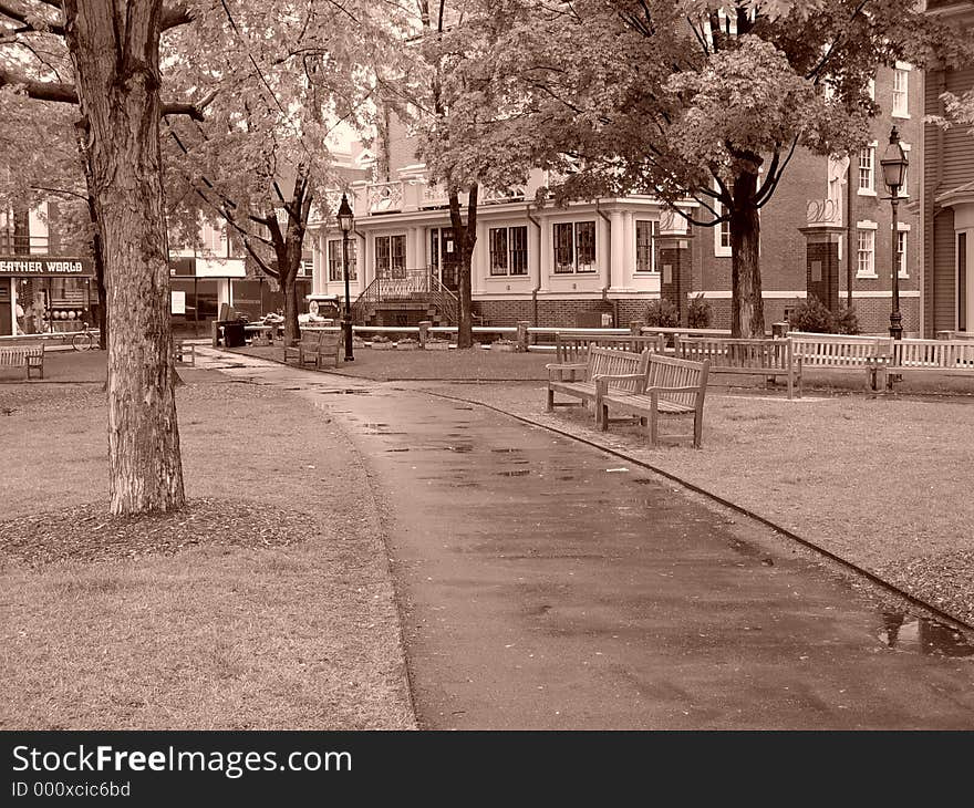 Rainy day at the park in harvard square