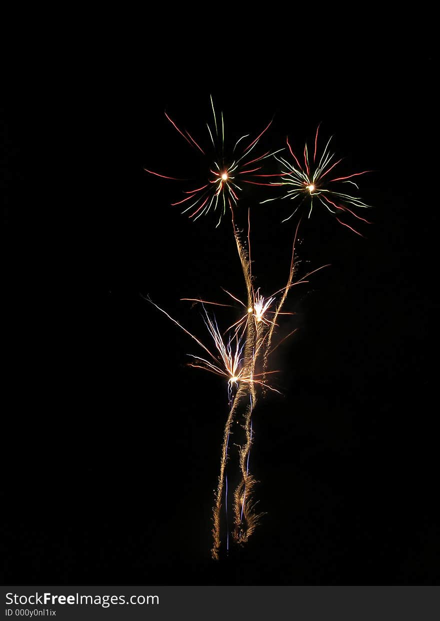 Fireworks Flowers