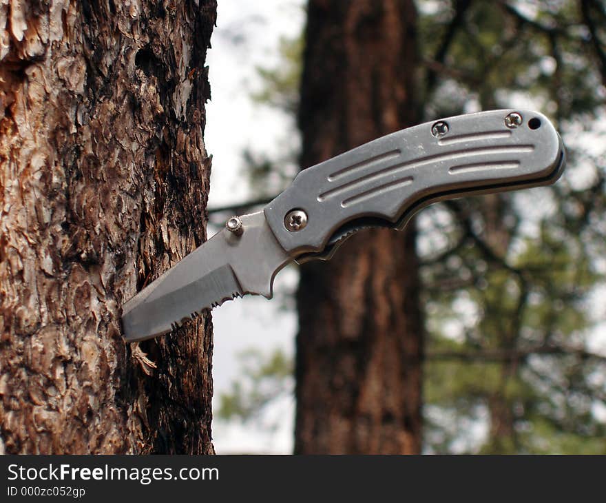 Knife stuck in a tree