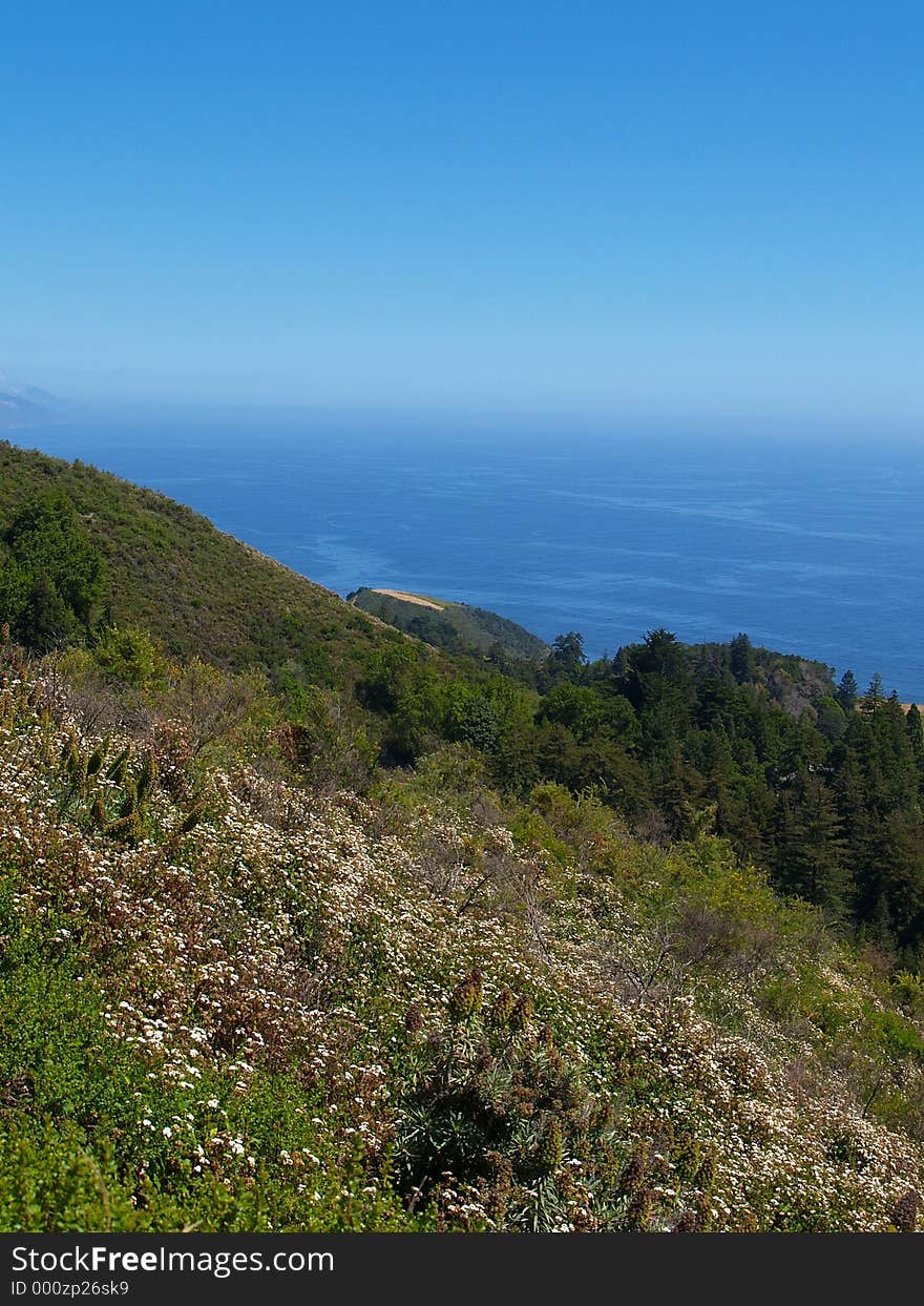 Big Sur Coastline