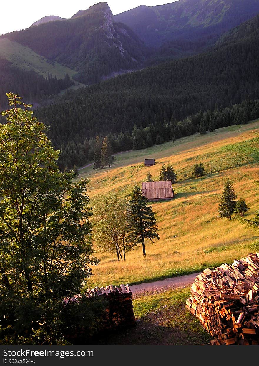 Tatra fields