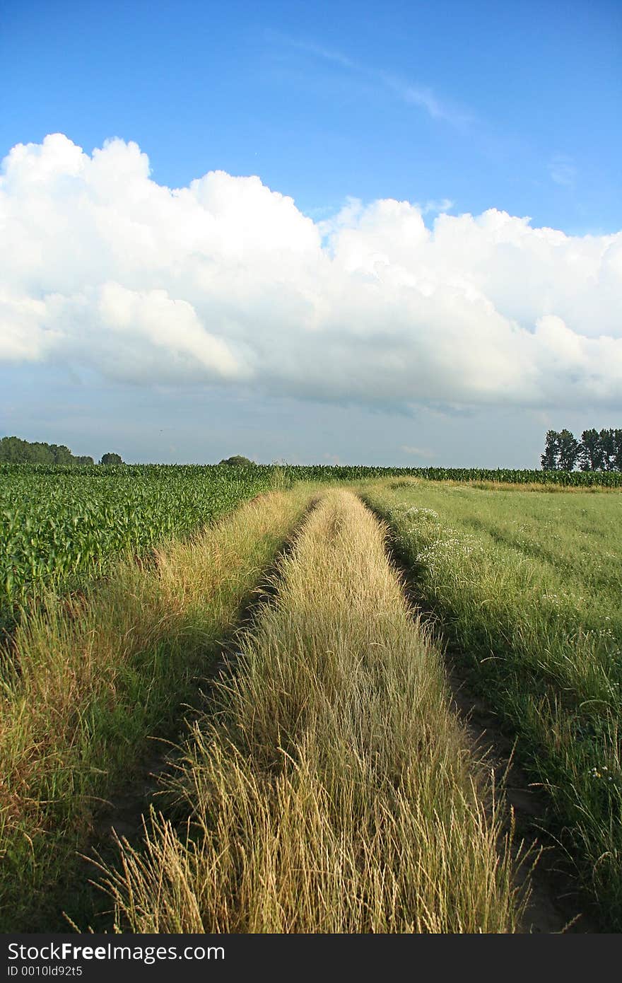 Country Road