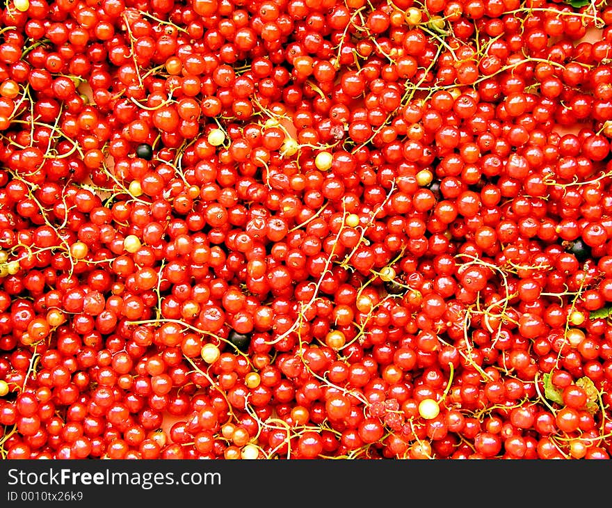 Red currants on the table. Red currants on the table