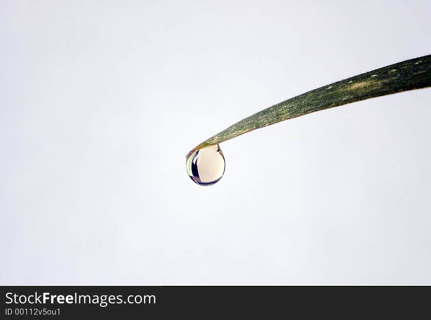 One drop on leaf