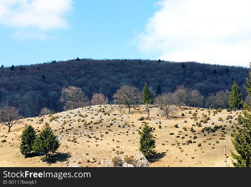 Hilly landscape