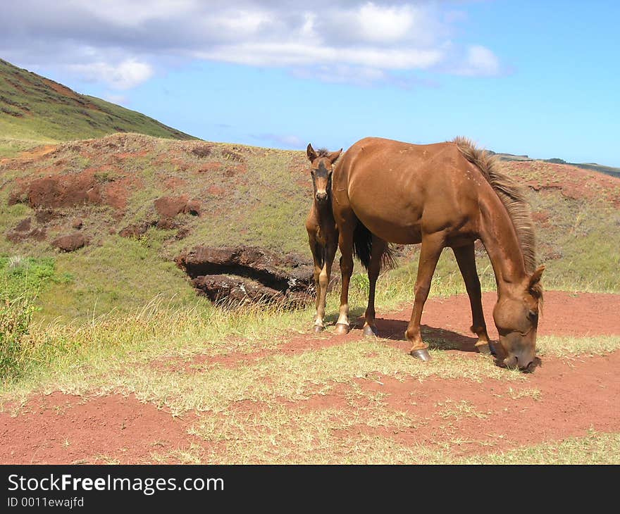 Puna Pau - the only place on Easter Island the locals took the red stone for moais topknots. Puna Pau - the only place on Easter Island the locals took the red stone for moais topknots.