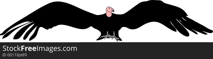 Illustration of a condor