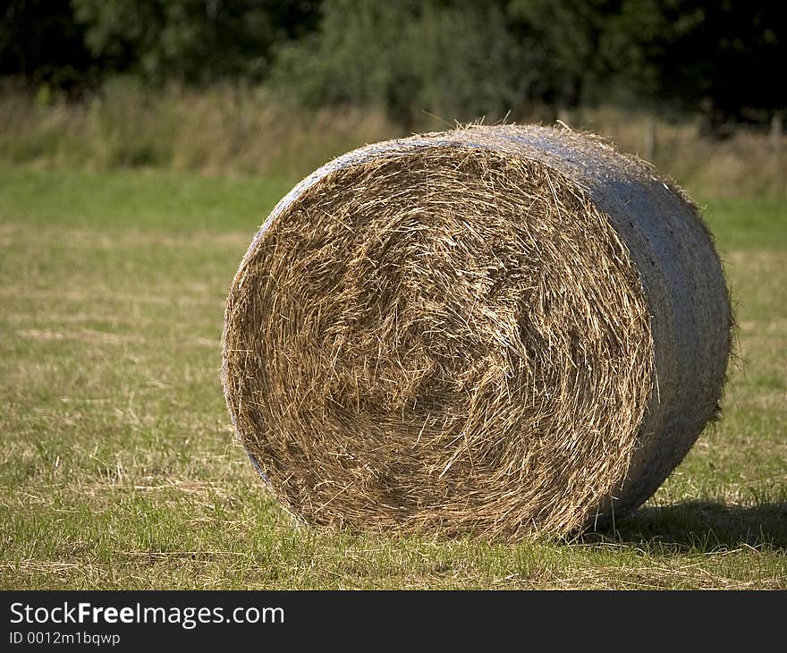 Hay bale in a field close up. Hay bale in a field close up