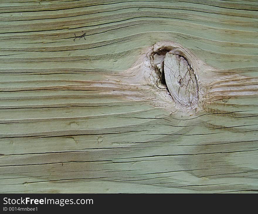 Beige Knot in Green Wood on Wall at Maine beach