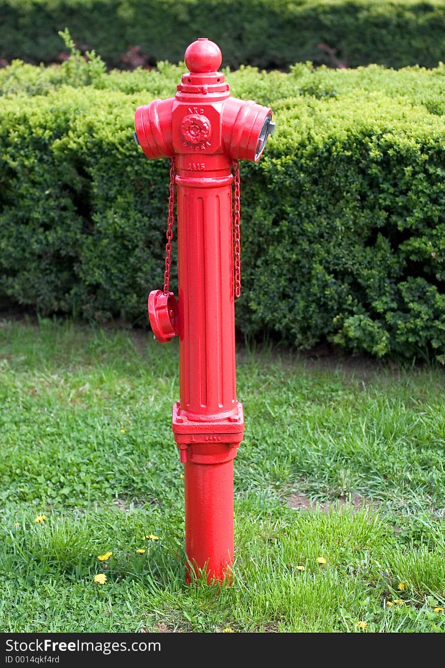 Fire Hydrant