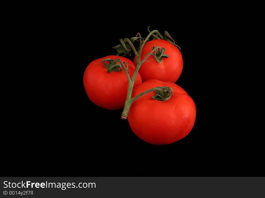 Three tomatoes on black background