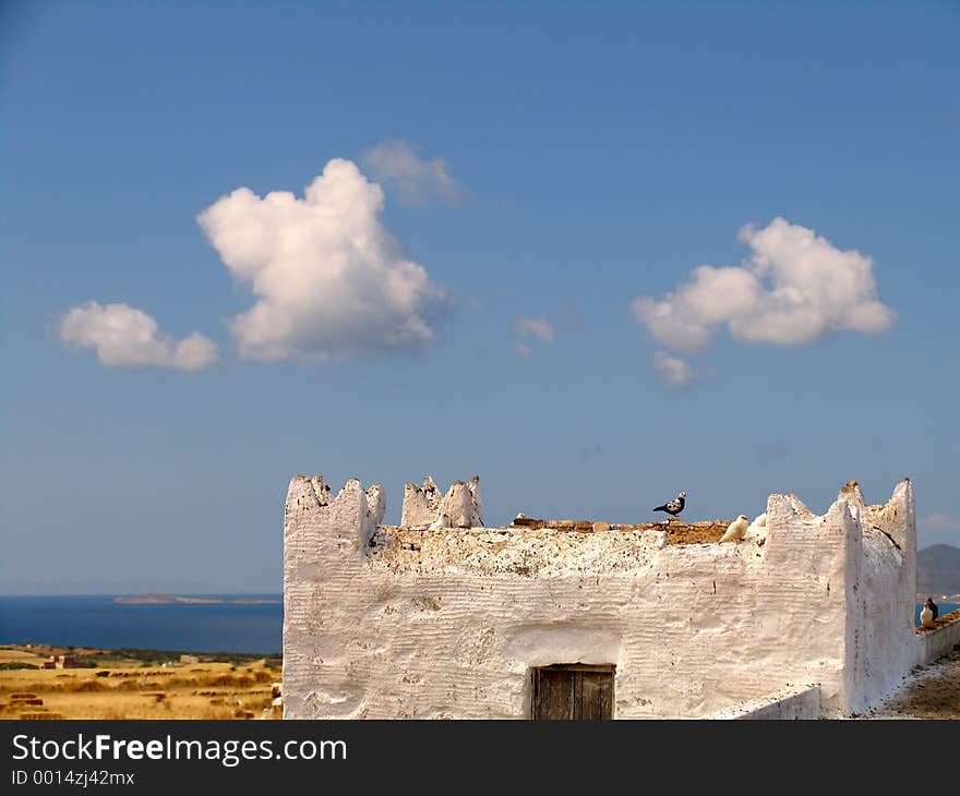 Doves in a Greek island