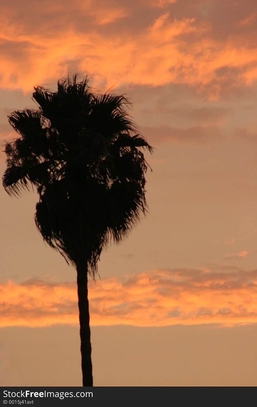 Silhouette at sunset