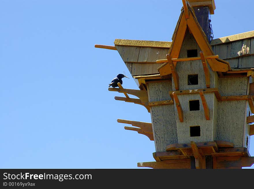 A bird returning to an elaborate birdhouse with a dragonfly to feed its young. A bird returning to an elaborate birdhouse with a dragonfly to feed its young.