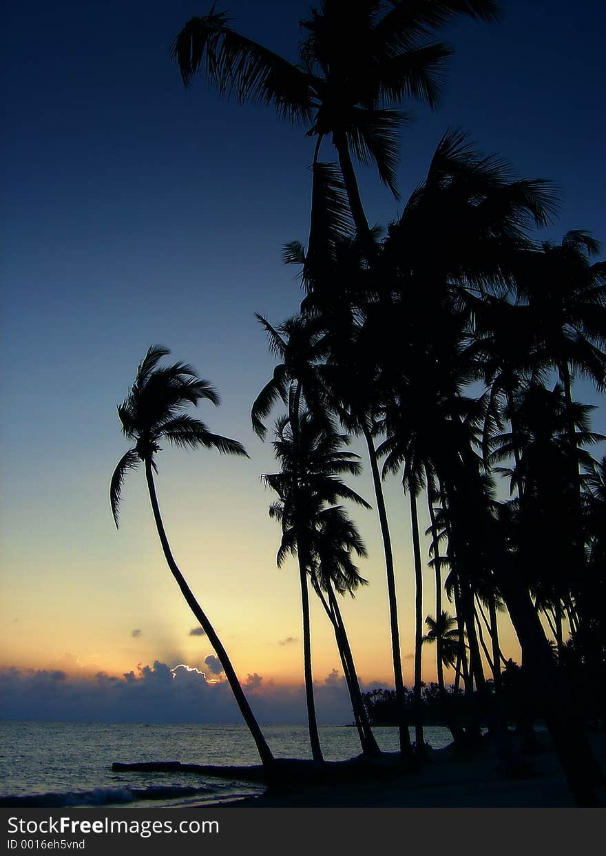 A tropical sunset in Hawaii