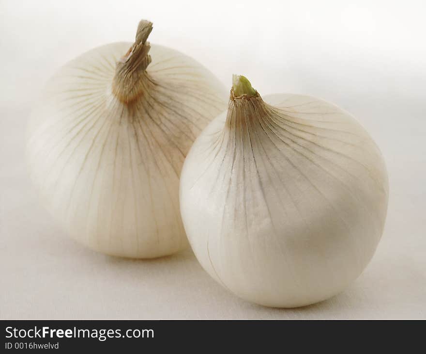 Two white onions on white background. In middle shadow.