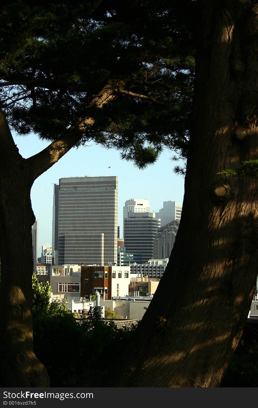 San Francisco City Buildings From Park. San Francisco City Buildings From Park