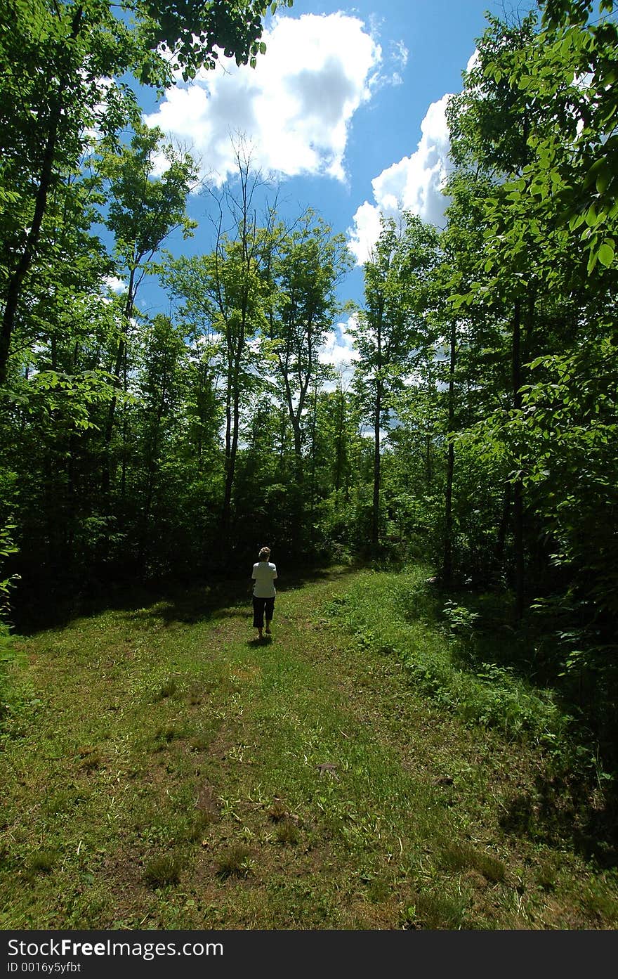 Woman walking on a path in the woods. Woman walking on a path in the woods