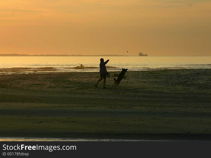 Man playing catch with dog. Man playing catch with dog