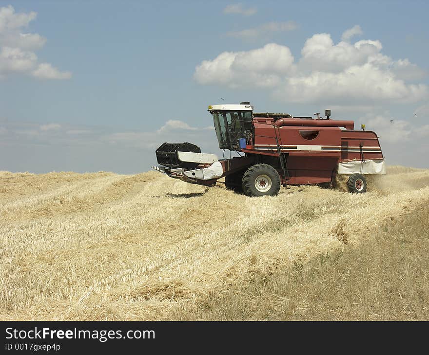 Farming in Italy