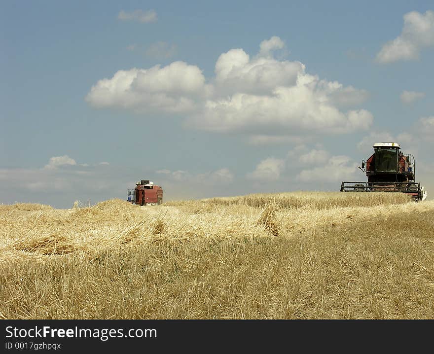 Farming in Italy