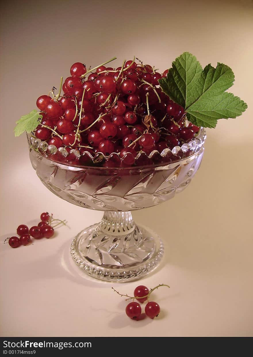 Redcurrant