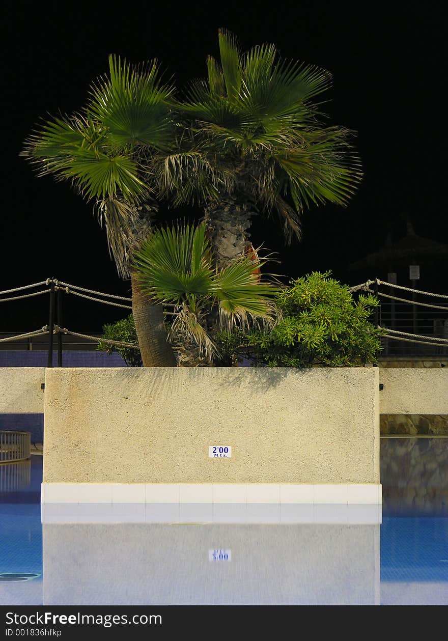 Swimming pool and palms by night. Swimming pool and palms by night