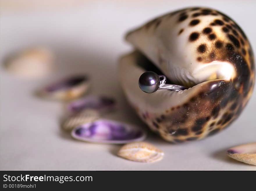 Ring with a black pearl in some sea shell. Ring with a black pearl in some sea shell