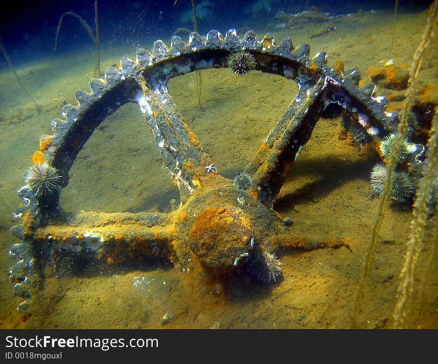 Wheel/cog off a shipwreck