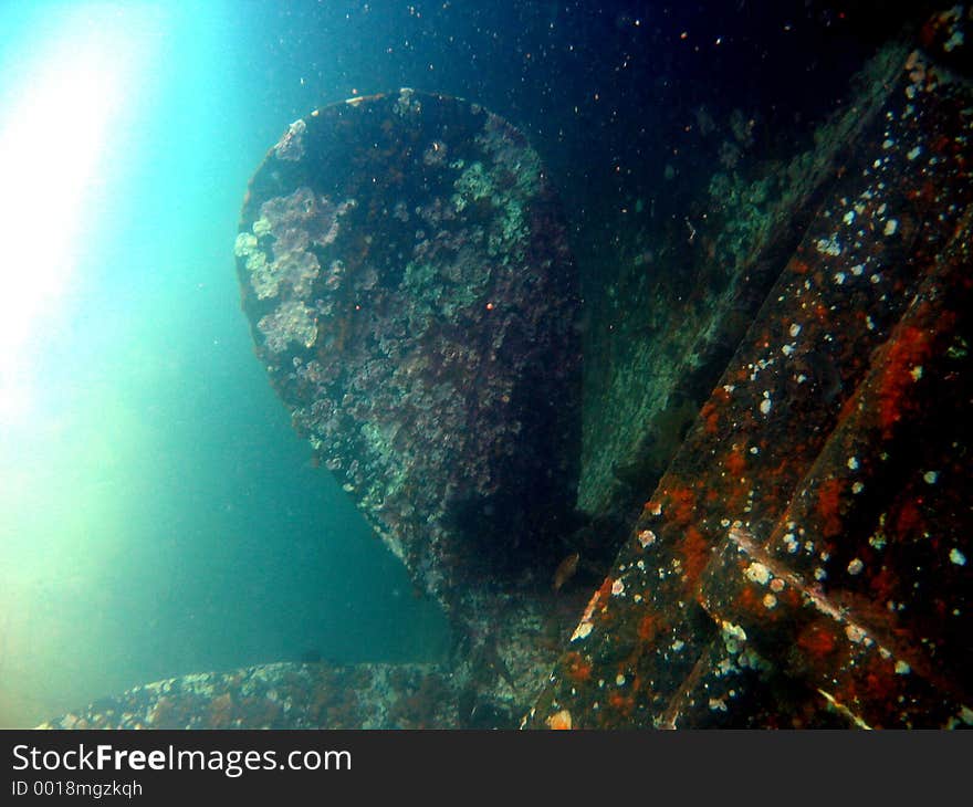 The propeller on a whaling wreck