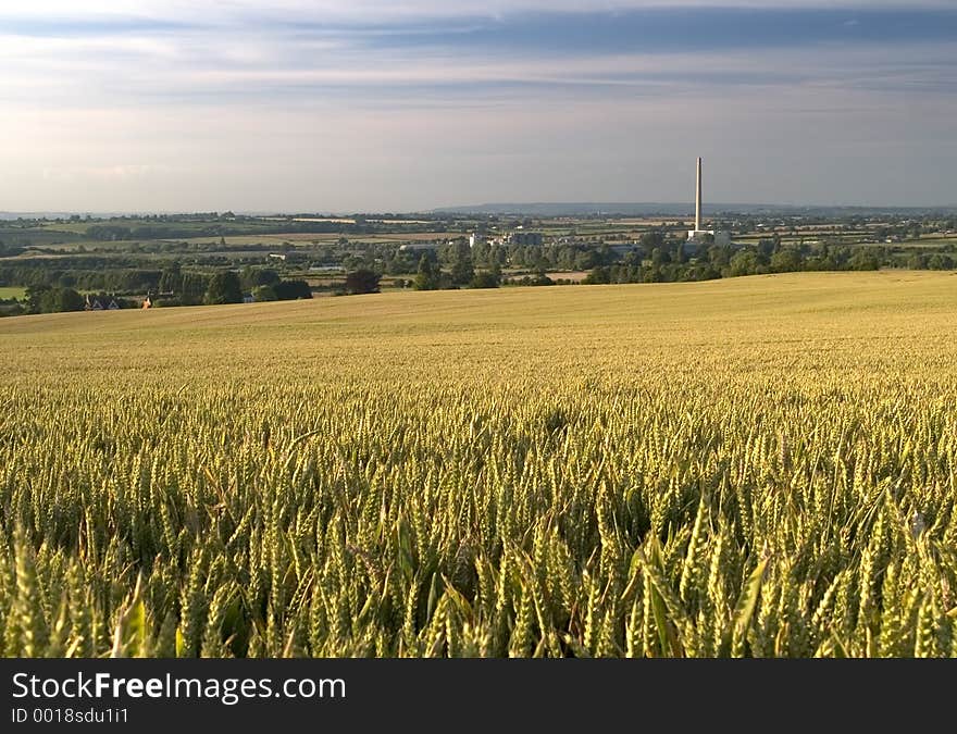 Wheat field with cement works chimney in distance. Wheat field with cement works chimney in distance