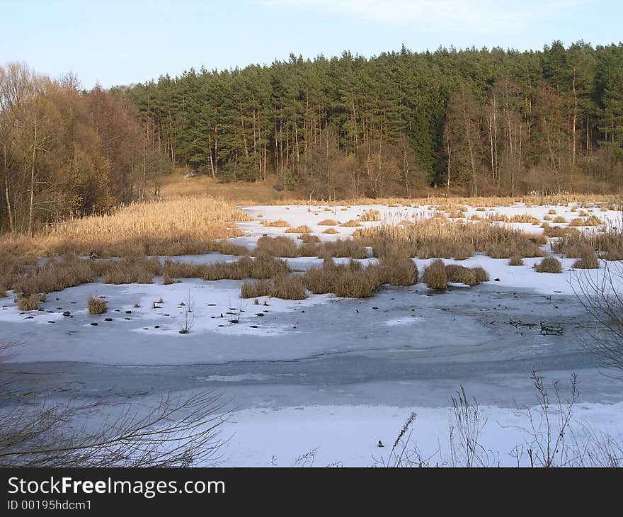 Winter Landscape