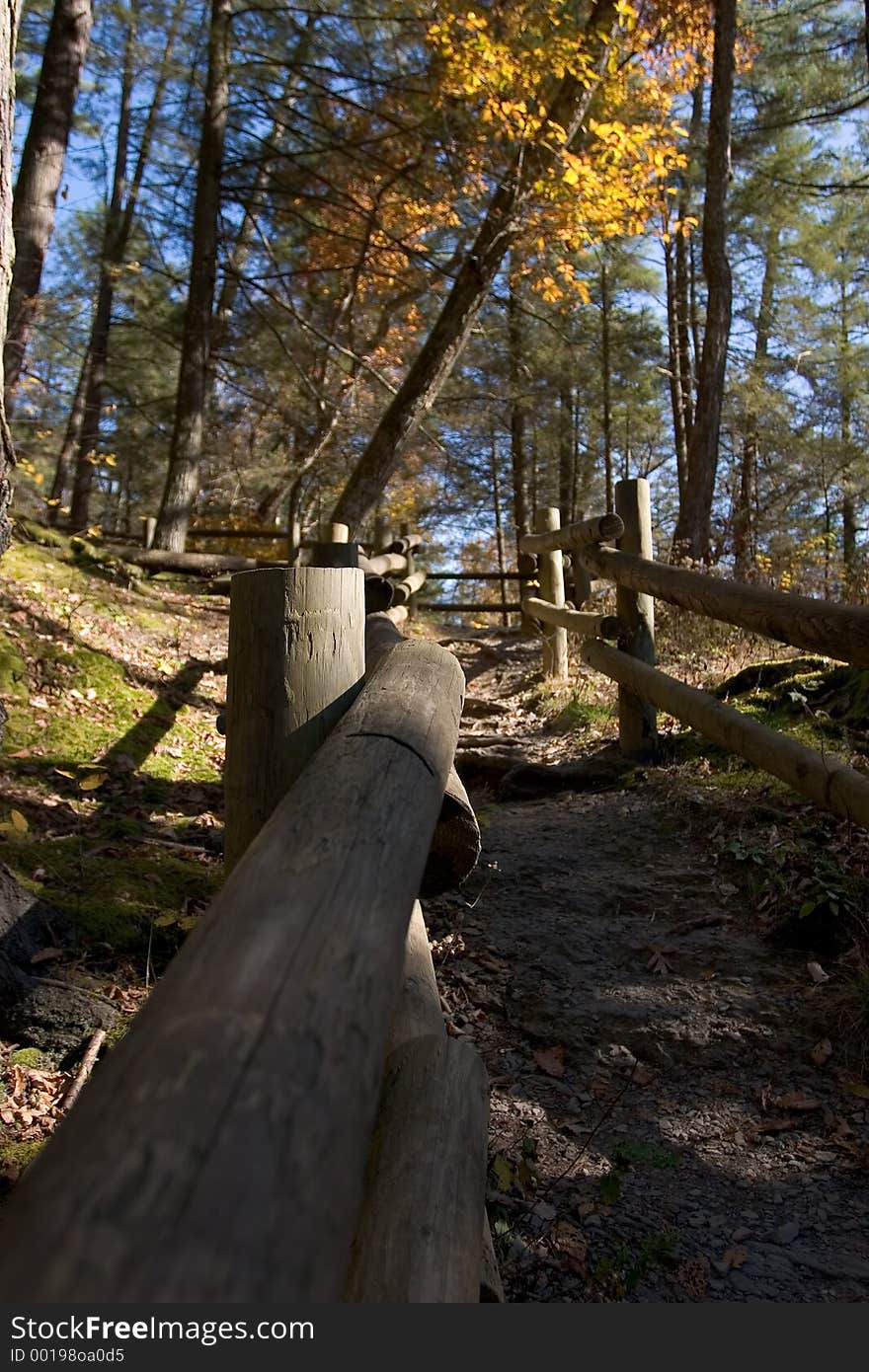 A path in an autumn forest. A path in an autumn forest