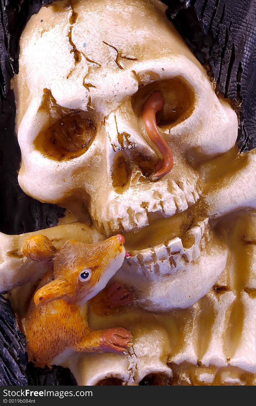 Photo of a Skull With a Mouse and Worm. Halloween Concept.