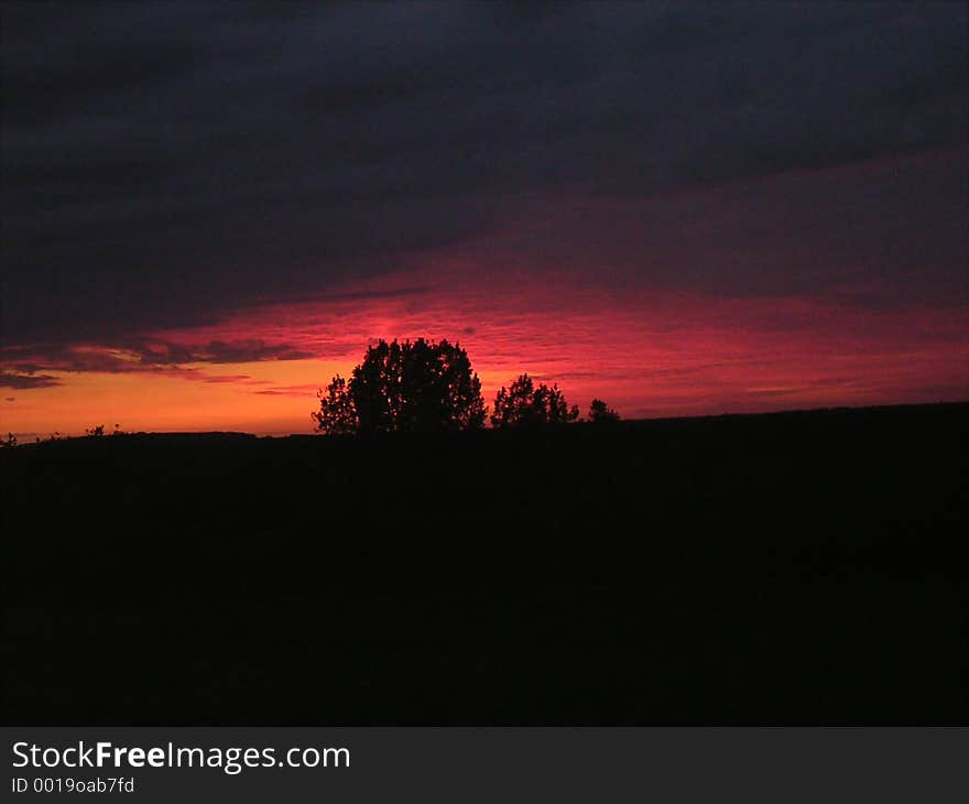 Colors : red, orange, pink, black. Beautiful photograph of a french sunset, with differents colors, and two trees. Colors : red, orange, pink, black. Beautiful photograph of a french sunset, with differents colors, and two trees.