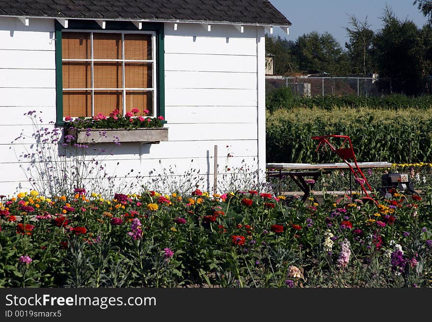 A small house with a beautiful garden. A small house with a beautiful garden.